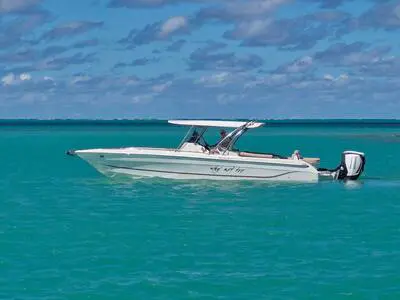 area-marine-legend-33-console-central-2011 (15)