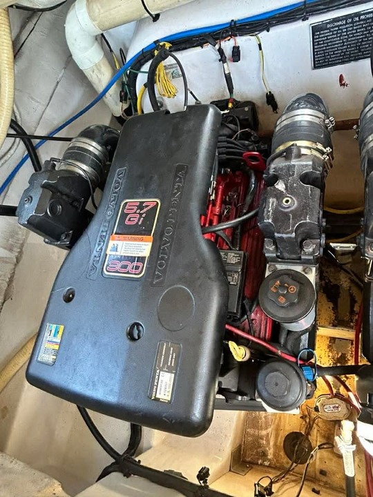 Four Winns H310 - area-marine (5)